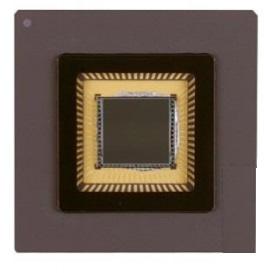 KAI-1020-FBA-JD-BA