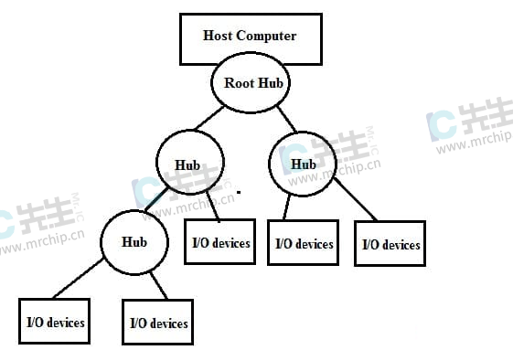 USB协议架构